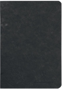 Clairefontaine Carnet AGE BAG, A5, uni, vert