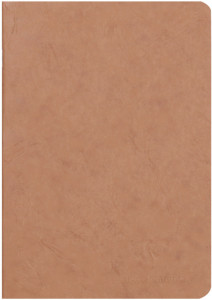 Clairefontaine Carnet AGE BAG, A5, uni, vert