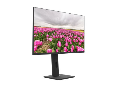V7 : 23.8IN HT ADJUST MONITOR HDMI 100HZ 1080P FHD IPS VGA SPEAKER