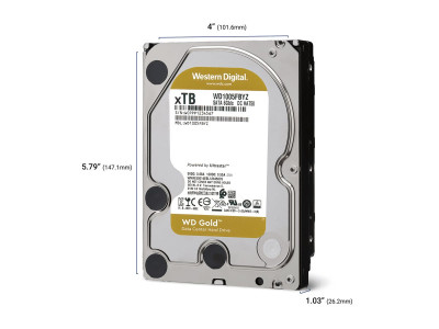 Western Digital : 10TB GOLD 256 Mo 3.5IN SATA 6GB/S 7200RPM