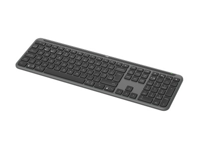 Logitech : SIGNATURE SLIM WIRELESS K950 GRAPHITE - FRA - CENTRAL-419