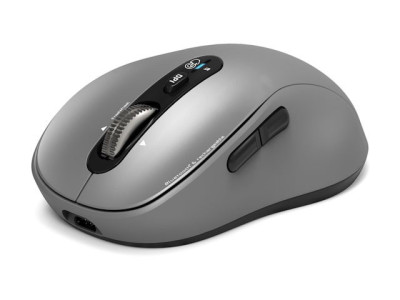 Port Design : MOUSE RECHARGEABLE BLUETOOTH EXPERT MAC