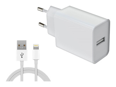 DLH : CHARGEUR 12W USB-A cable LIGHTNING 1M