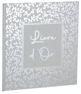 EXACOMPTA Livre d'Or AutentiK, 190 x 210 mm, vert sauge