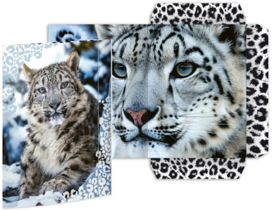 RNK Verlag Carton à dessin 