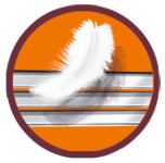 BIC Rasoir jetable 3 Sensitive, pour hommes, pack de 8 BIC Rasoir jetable 3 Sensitive, pour hommes, pack de 8