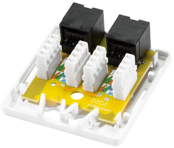 LogiLink Prise RJ45 cat. 6A avec boîtier en saillie, 2x RJ45