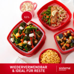 Sistema Boîte pour micro-ondes MEDIUM STEAMER, 2,4 l, rouge Sistema Boîte pour micro-ondes MEDIUM STEAMER, 2,4 l, rouge