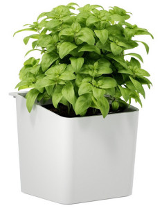 tesa KITCHEN Pot pour herbes aromatiques, blanc