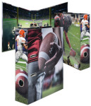 HERMA Motivordner Sport 