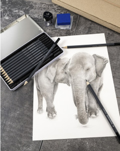 EBERHARD FABER Crayon de couleur Artist Color, étui de 12