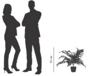 PAPERFLOW Plante artificielle PAPERFLOW Plante artificielle