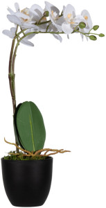 PAPERFLOW Plante artificielle 