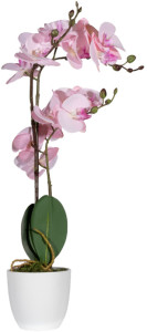 PAPERFLOW Plante artificielle 