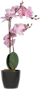 PAPERFLOW Plante artificielle 