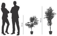 PAPERFLOW Plante artificielle PAPERFLOW Plante artificielle