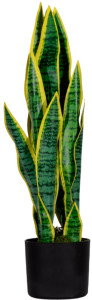 PAPERFLOW Plante artificielle 