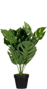 PAPERFLOW Plante artificielle 