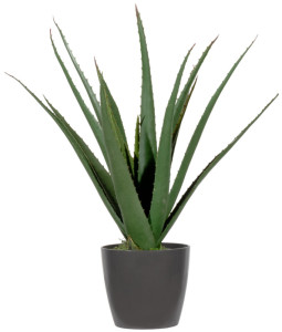 PAPERFLOW Plante artificielle 