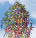 PAPSTAR Rouleau de papier crépon, 500 mm x 2,5 m, assorti