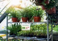 DURABLE Pochette d'affichage, étanche, A5, avec serre-câbles