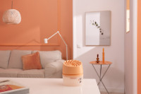 Pattex Déshumidificateur AERO 360 COMPACT, pêche Pattex Déshumidificateur AERO 360 COMPACT, pêche