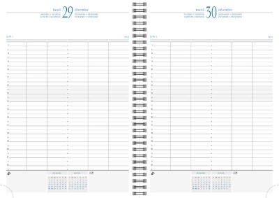 EXACOMPTA Agenda journalier 