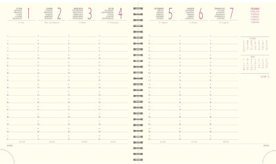 EXACOMPTA Agenda de bureau SAD 18S VERONE 2025/2026, 16 mois