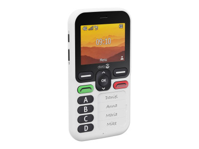 Doro : DORO LEVA X10 - NEW JAN 2025 WHITE/BLACK (propri)