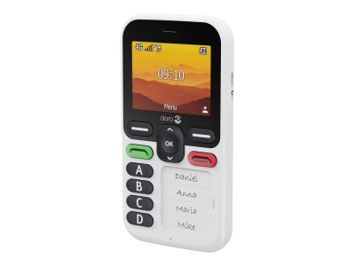 Doro : DORO LEVA X10 - NEW JAN 2025 WHITE/BLACK (propri)