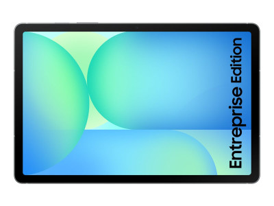 Samsung : SAMSUNG GALAXY TAB S10 FE 5G 128G GRAY ENTERPRISE EDITION (andrd)