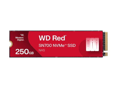 SANDISK : RED SN700 NVME SSD 250GB M.2 PCIE GEN3 5Y Garantie