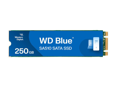 SANDISK : 250GB BLUE SSD M.2 SA510 2280 SATA III 6 GB/S