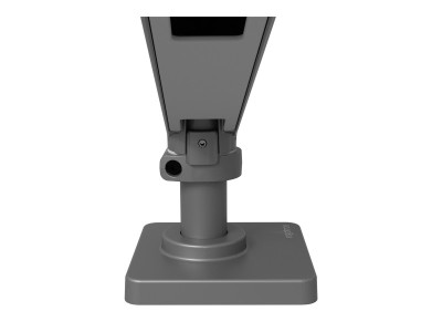 Ergotron : LX PRO ARM DUAL SIDE-BY-SIDE DIG