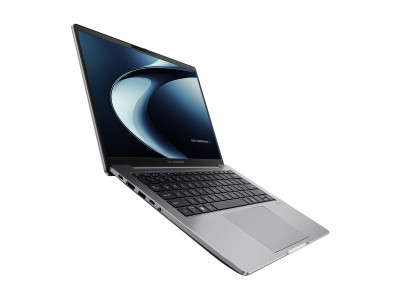 Asustek : P3405CVA-LY0040X 14.0 I5-13420H 16GB 512GB W11P (ci5g13)