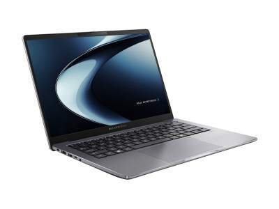 Asustek : P3405CVA-LY0040X 14.0 I5-13420H 16GB 512GB W11P (ci5g13)