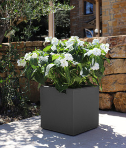 EDA Bac à plantes BASALT UP, cubique, 295 mm, anthracite