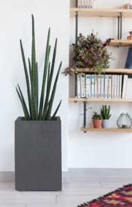 EDA Bac à plantes BASALT UP, colonne, (H)495 mm, anthracite