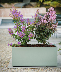 EDA Jardinière BASALT UP, longueur: 795 mm, anthracite