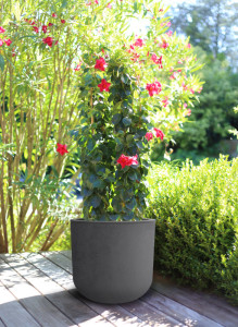 EDA Bac à plantes BASALT UP, rond, 385 mm, anthracite