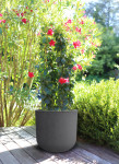 EDA Bac à plantes BASALT UP, rond, 485 mm, anthracite