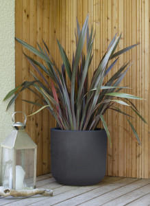 EDA Bac à plantes BASALT UP, rond, 485 mm, anthracite