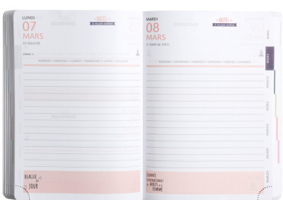 EXACOMPTA Agenda scolaire SOFT HARMONY, 2025/2026, assorti