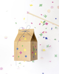 folia Kit de lanterne MILKY WAY