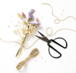 folia Ciseaux, pointus, longueur: env. 145 mm, or rose folia Ciseaux, pointus, longueur: env. 145 mm, or rose