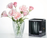 Ritzenhoff & Breker Vase FLORA, transparent