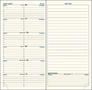EXACOMPTA Agenda de poche SAS 17, 2025/2026, noir
