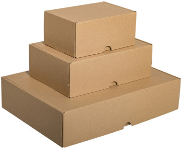 SMARTBOXPRO Maxibriefkarton, (B)346 x (T)247 x (H)80 mm