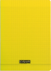 Calligraphe Cahier 8000 POLYPRO, 210 x 297 mm, vert