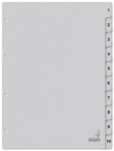kangaro Karton-Register ECO, Zahlen 1-100, DIN A4